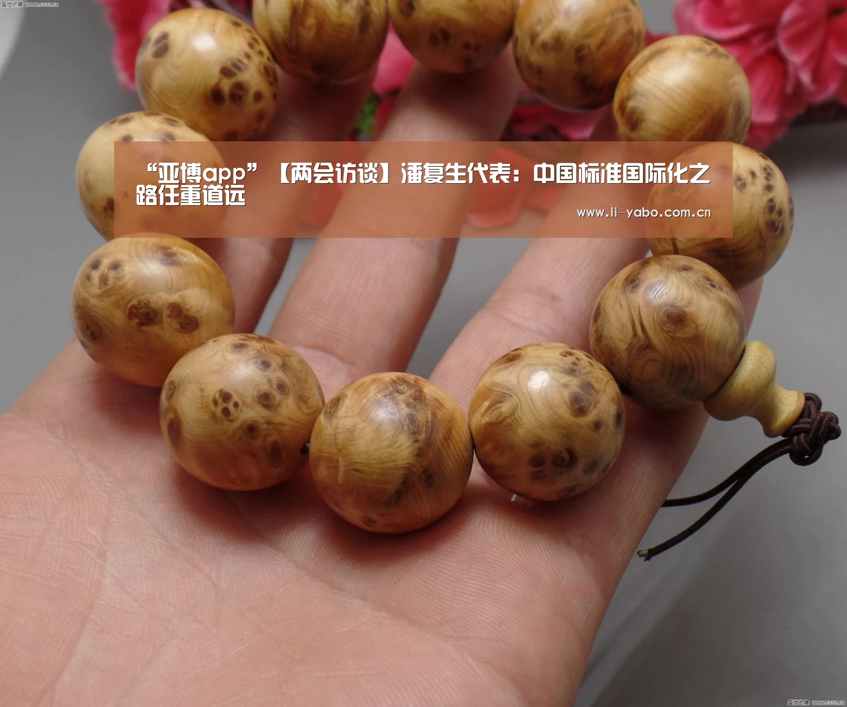 “亚博app”【两会访谈】潘复生代表:中国标准国际化之路任重道远(图3) 亚博app